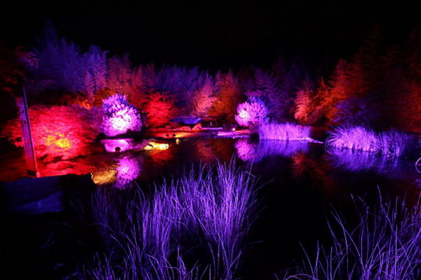 Ilumina_2014   068.jpg